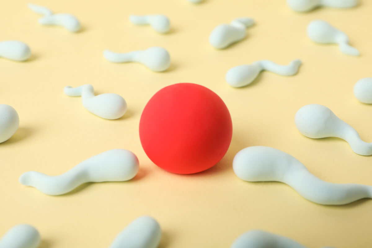 Can using frozen semen affect the result of assisted reproduction treatment?