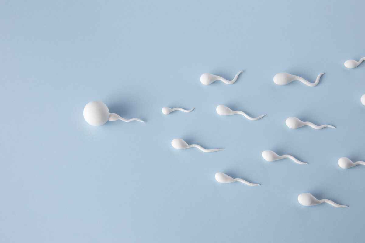 What is teratozoospermia?