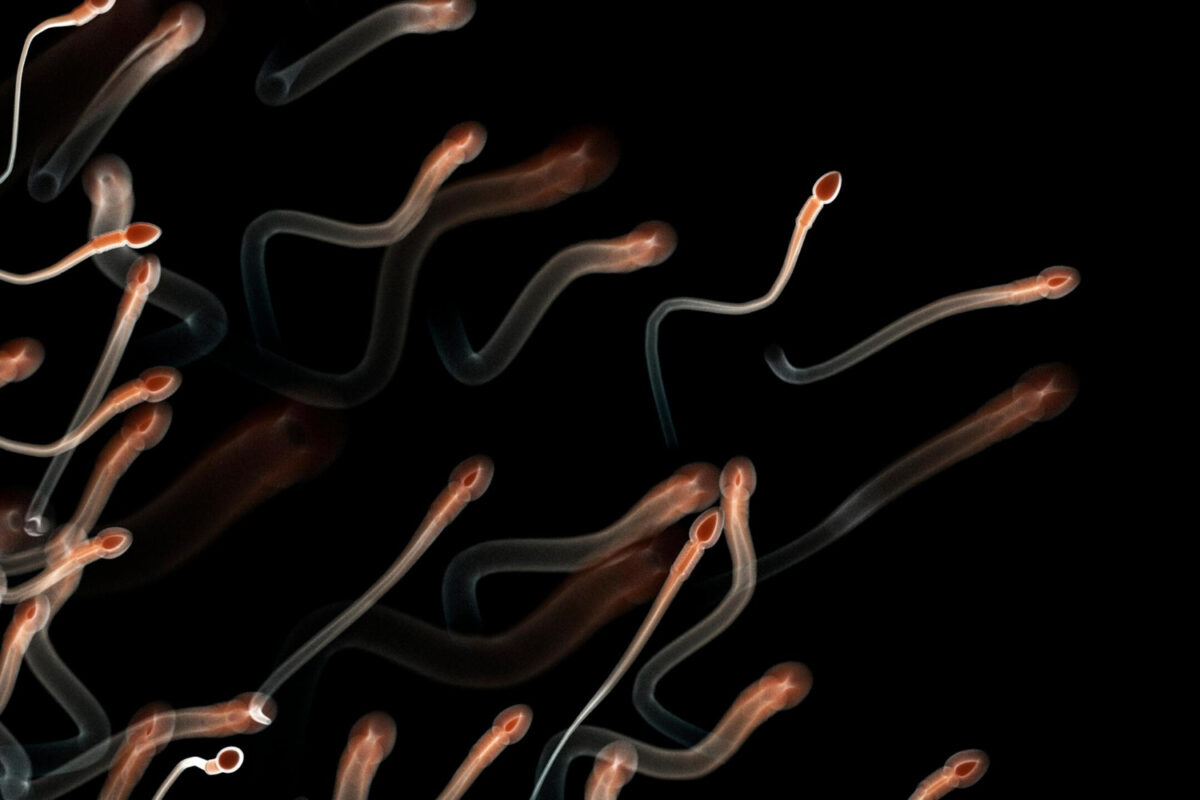 calidad del semen